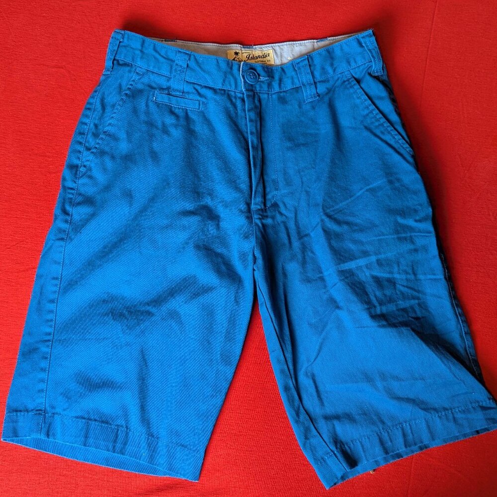 Islandia Men’s Bright Blue Chino Shorts – Size 29 (Tagged 30)
